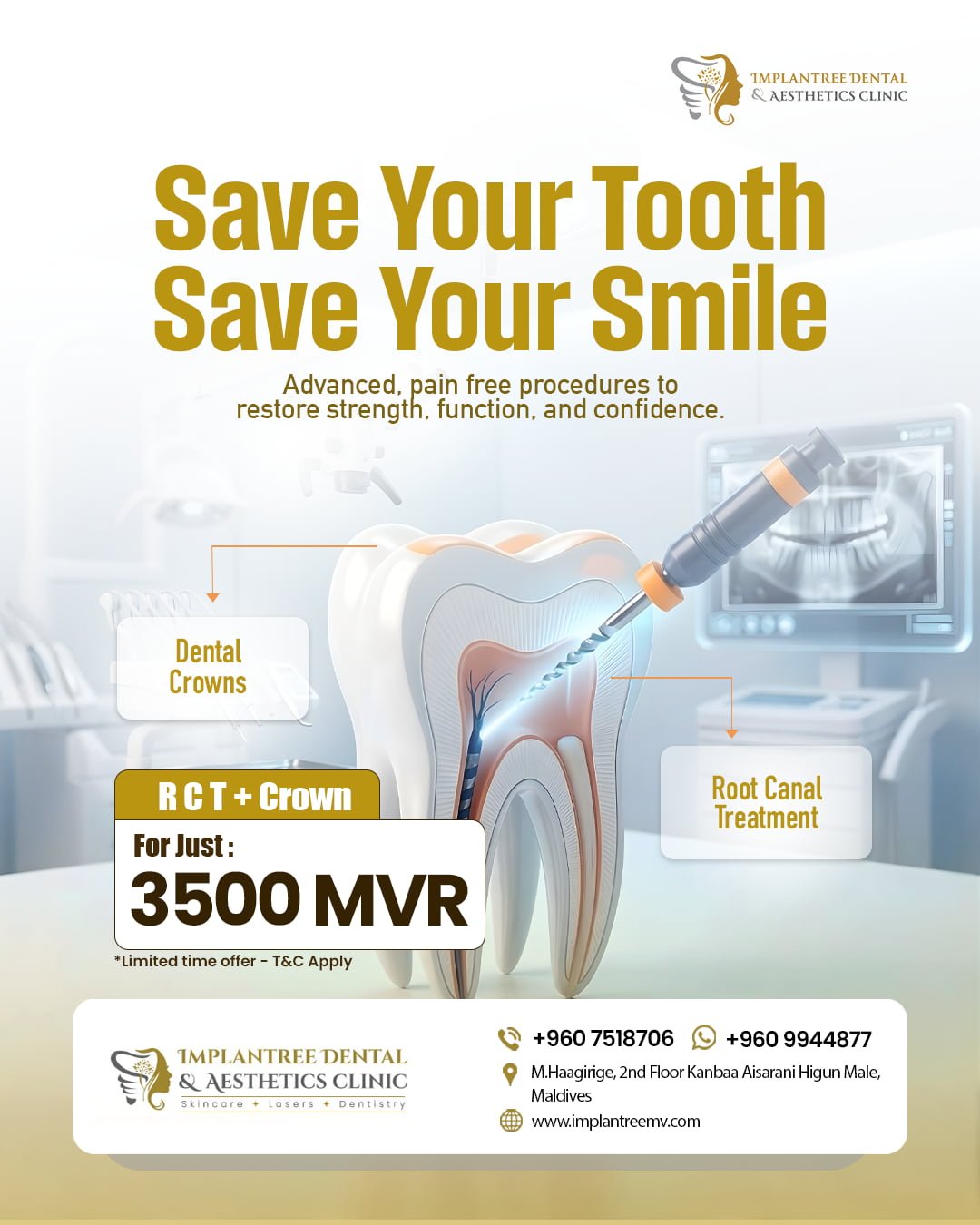 MRCHIMPLNTREE27-Recovered