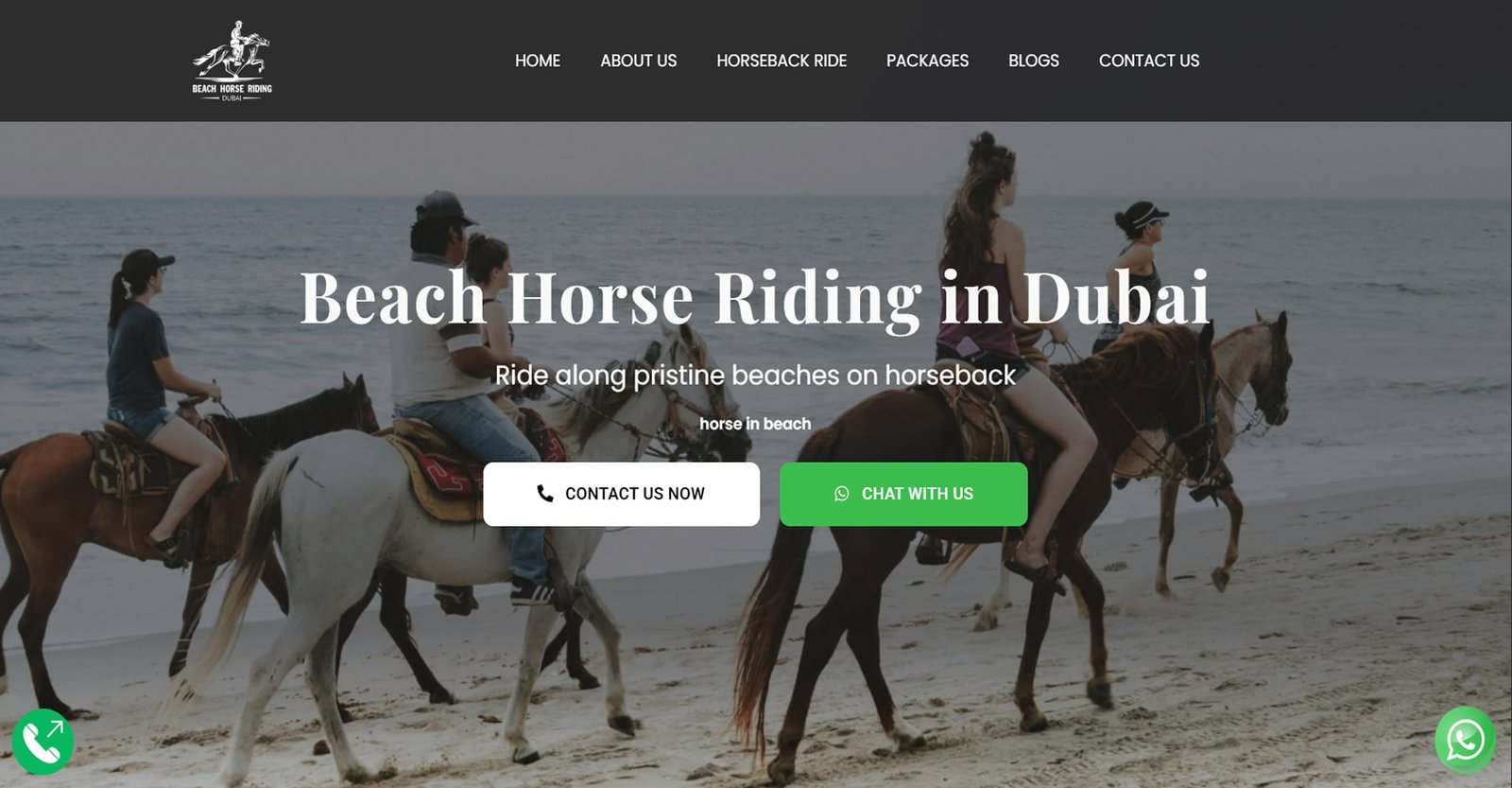 beachhorse 1